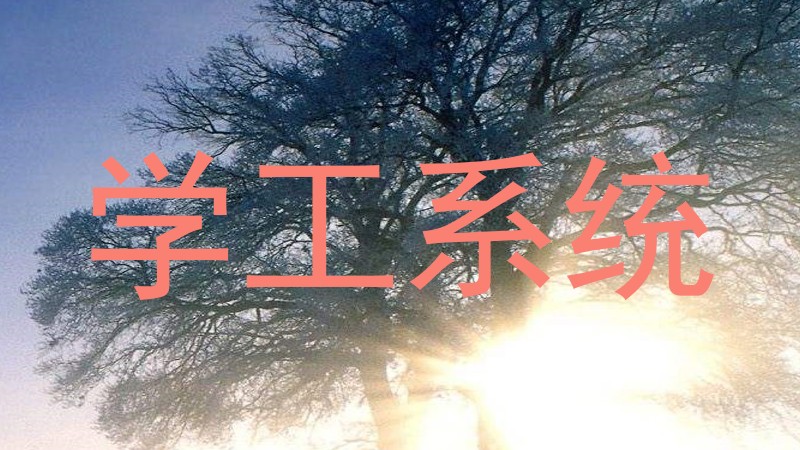 学工系统