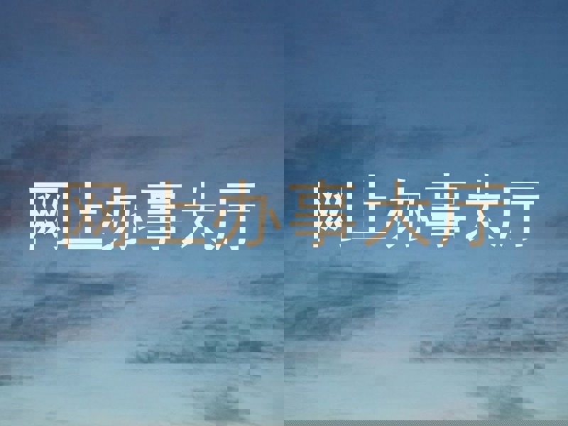网上办事大厅