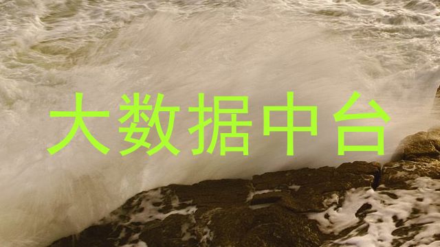 大数据中台