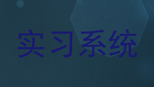 实习系统