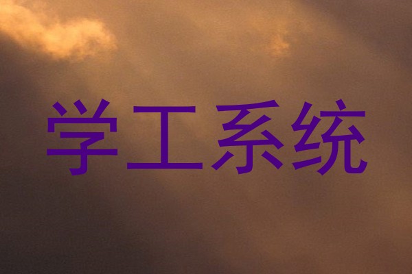 学工系统
