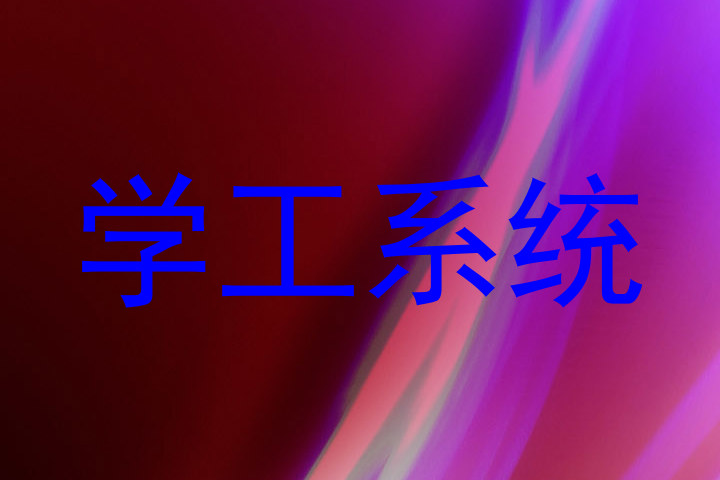 学工系统