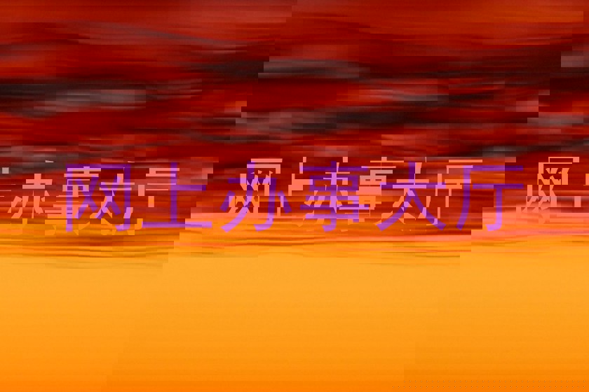 网上办事大厅