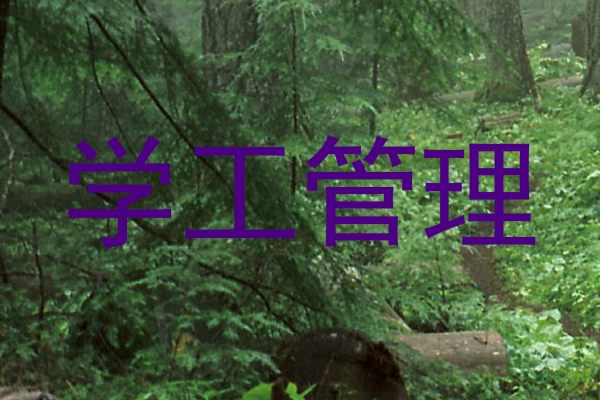 学工管理