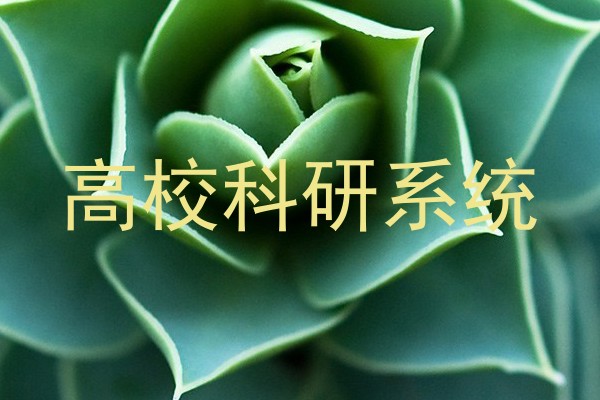 高校科研系统