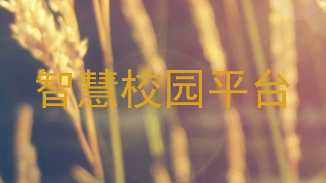智慧校园平台