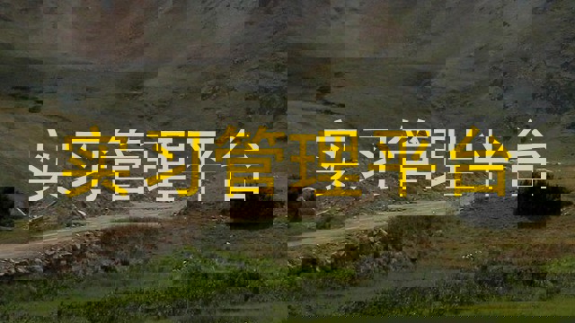 实习管理平台