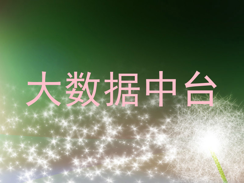 大数据中台