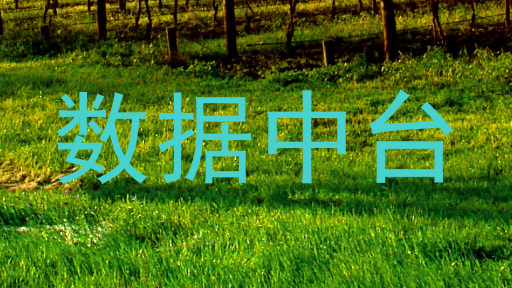 数据中台