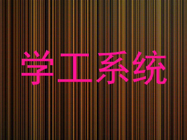 学工系统