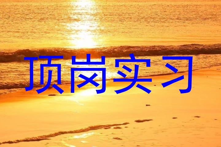 顶岗实习