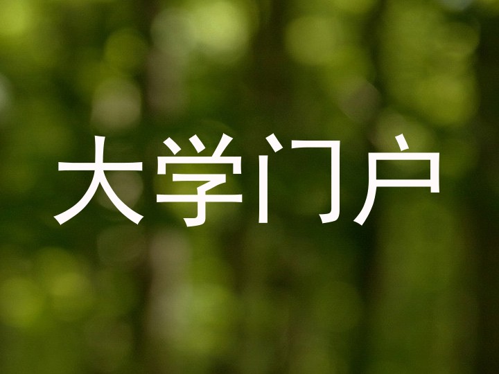大学门户