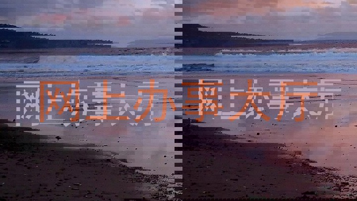 网上办事大厅