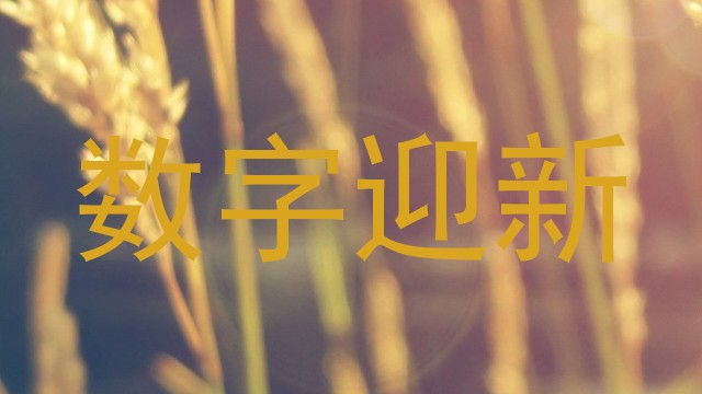 数字迎新