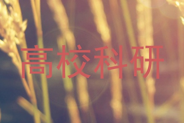 高校科研