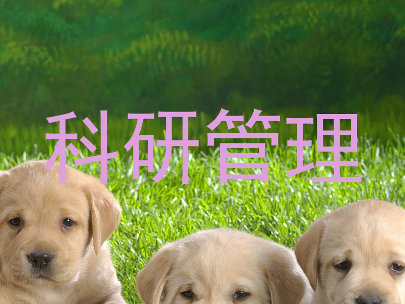 科研管理