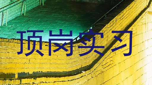 顶岗实习