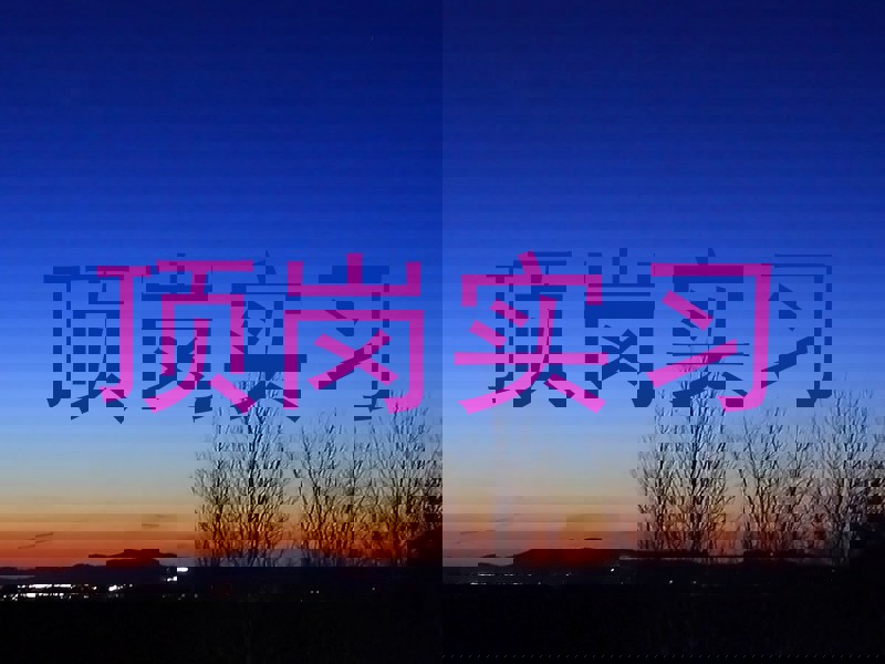 顶岗实习