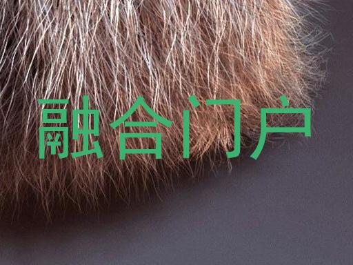 融合门户