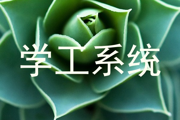 学工系统