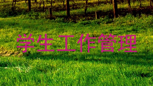 学生工作管理