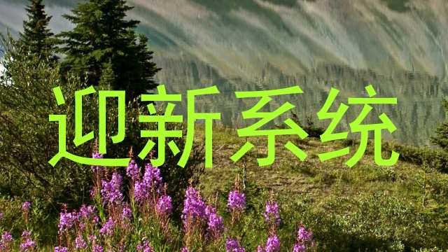 迎新系统