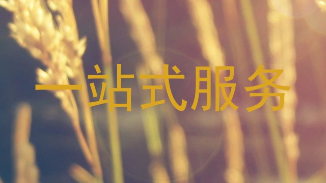一站式服务