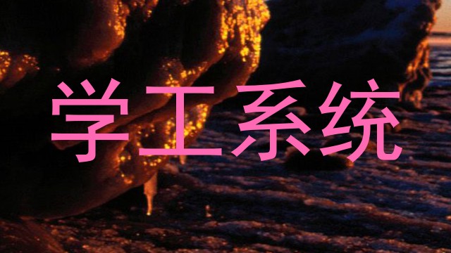学工系统