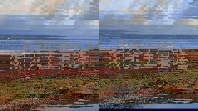 研究生管理