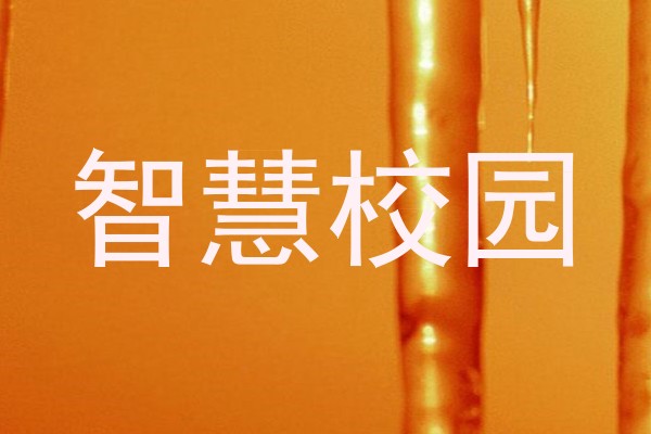 智慧校园