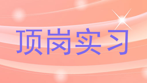 顶岗实习