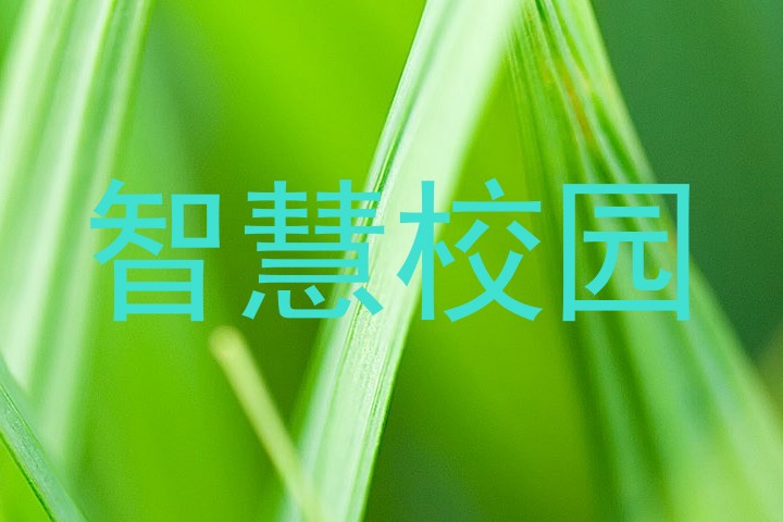 智慧校园