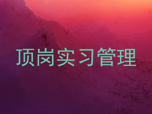 顶岗实习管理