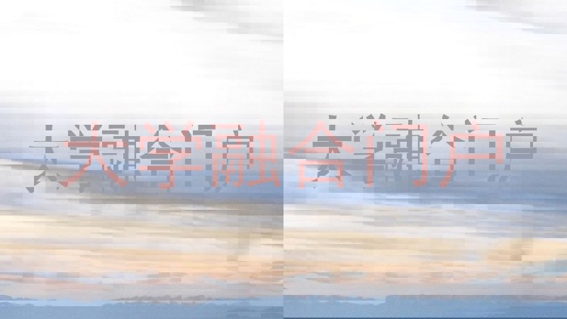 大学融合门户