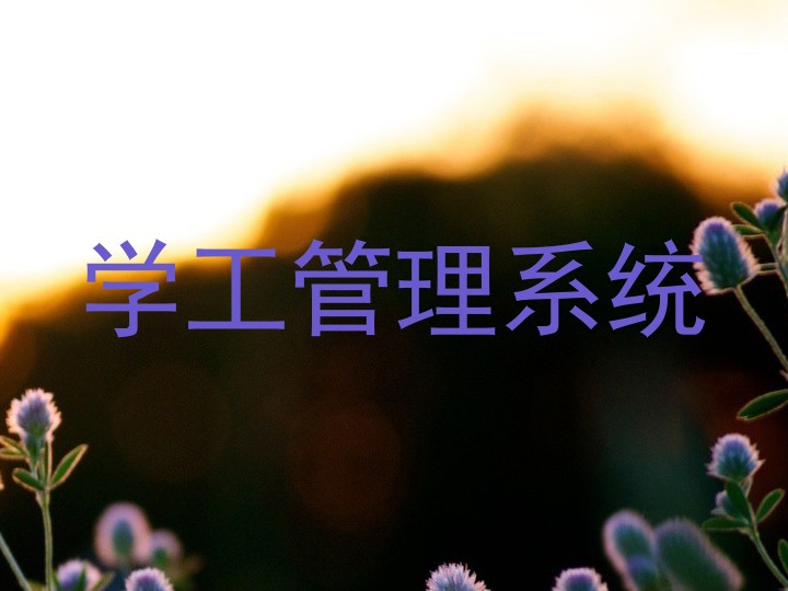 学工管理系统