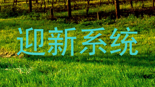 迎新系统