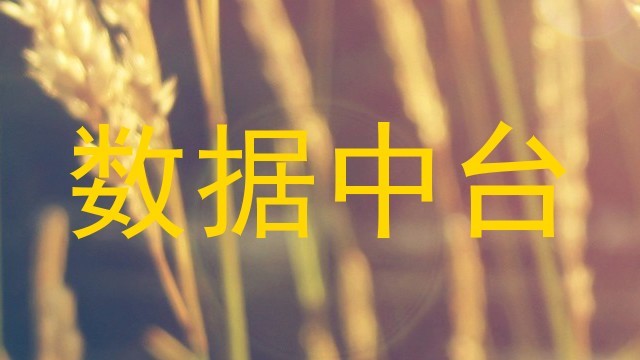 数据中台