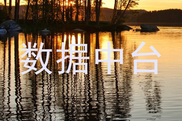 数据中台