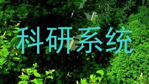 科研系统