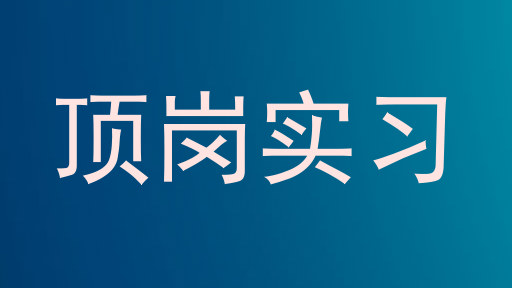 顶岗实习