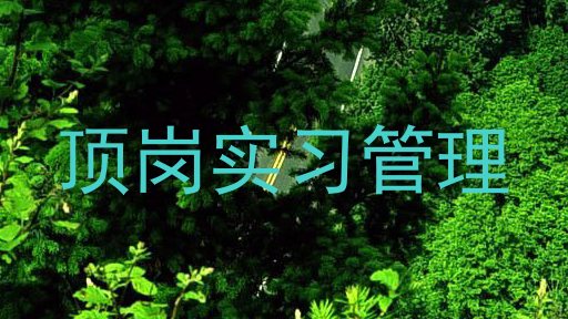 顶岗实习管理