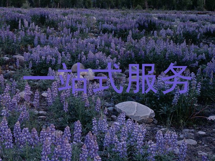一站式服务