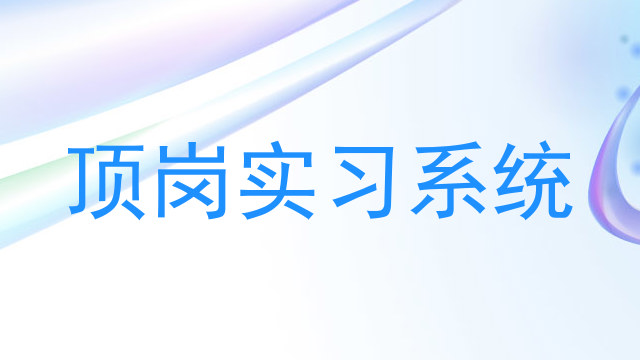 顶岗实习系统