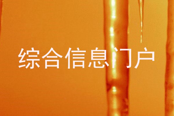 综合信息门户