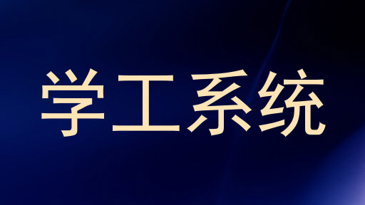 学工系统