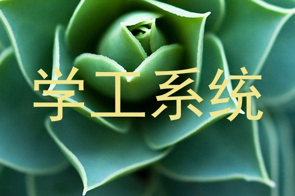 学工系统