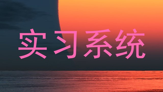 实习系统