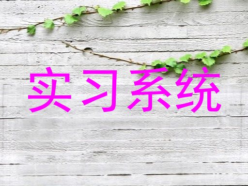 实习系统