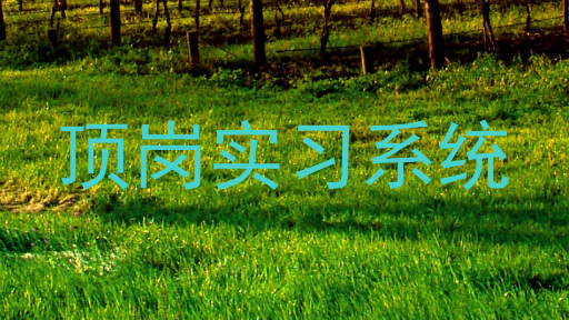 顶岗实习系统