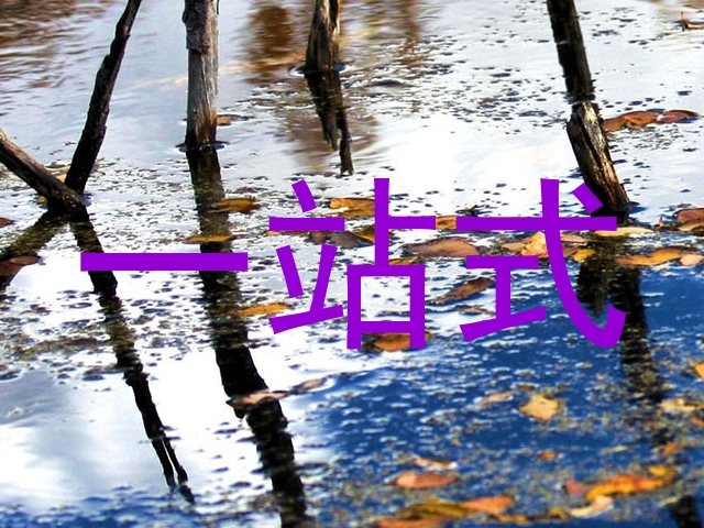 一站式